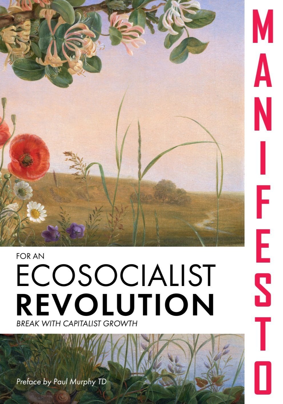 Manifesto for an ecosocialist revolution